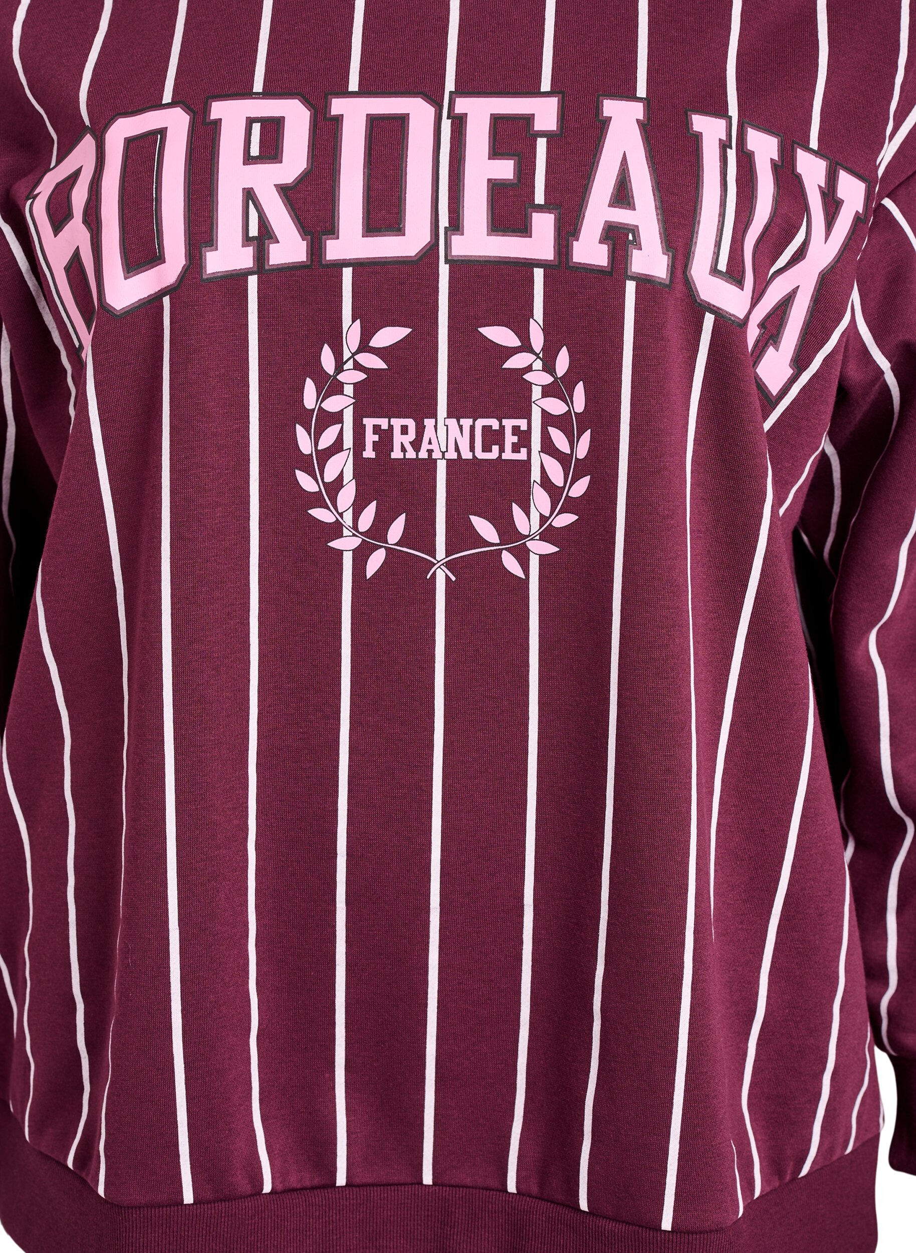 ZizziSweatshirt met strepen en tekstprint, Rood, Packshot image number 2