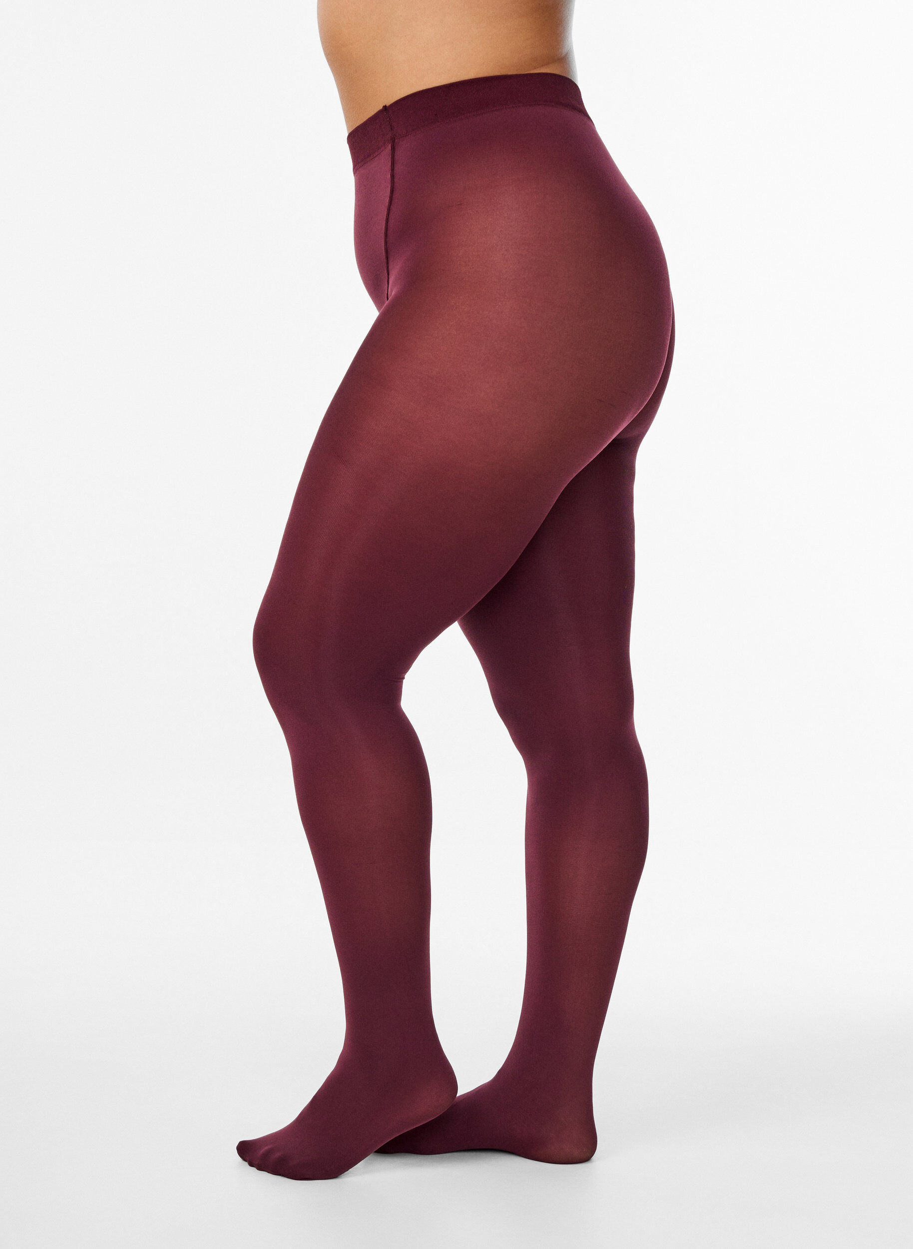 Zizzi100 denier panties, Rood, Model image number 0