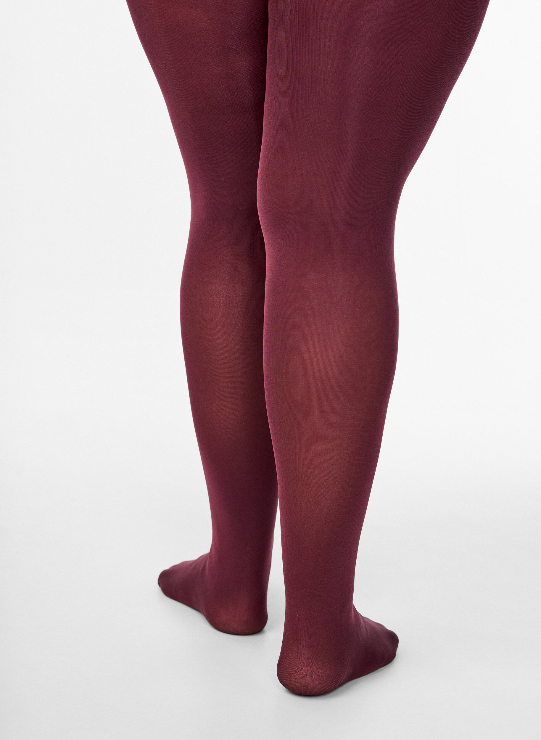 Zizzi100 denier panties, Rood, Packshot image number 1