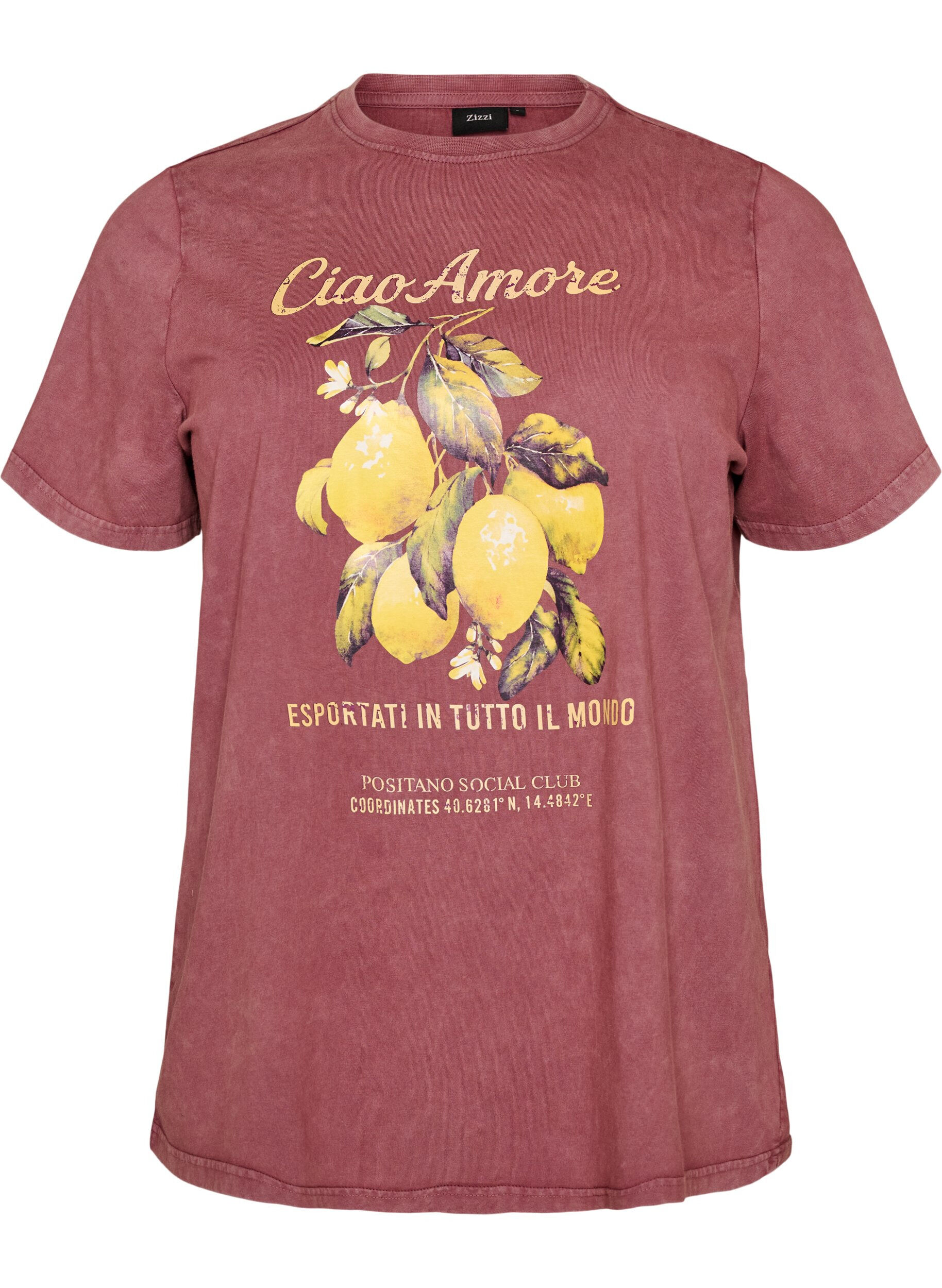 Katoenen T-shirt met print aan de voorkant en een gewassen look