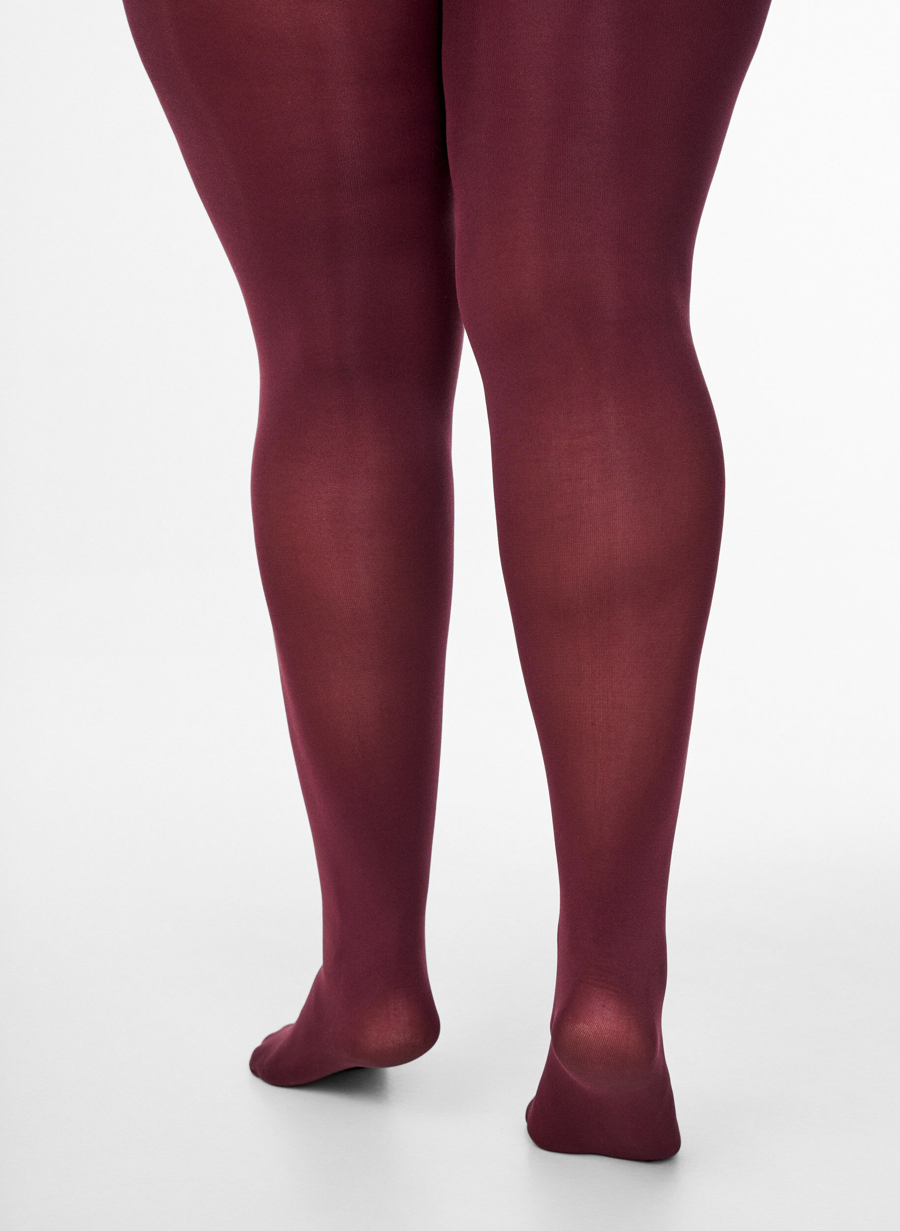 Zizzi100 denier panties, Rood, Model image number 1