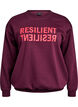 Sweatshirt met motief aan de voorkant, Rood, Packshot image number 0
