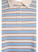 Gestreepte poloshirt met korte mouwen, Blauw, Packshot image number 2