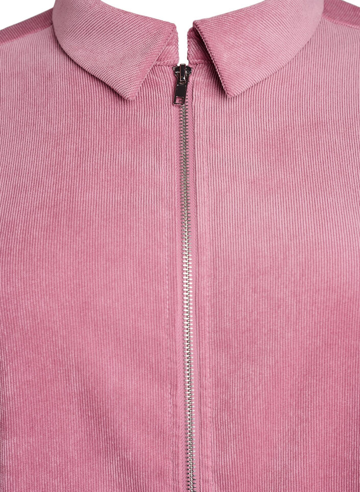 Corderoy jurk met rits en 3/4-mouwen, Roze, Packshot image number 2
