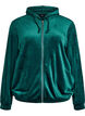 Velours cardigan met ritssluiting en capuchon, Groen, Packshot image number 0