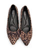 Wide fit - Ballerina pumps met een strik, Bruin, Packshot image number 2