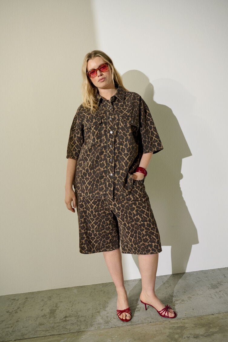 Matching leo trend, , Model