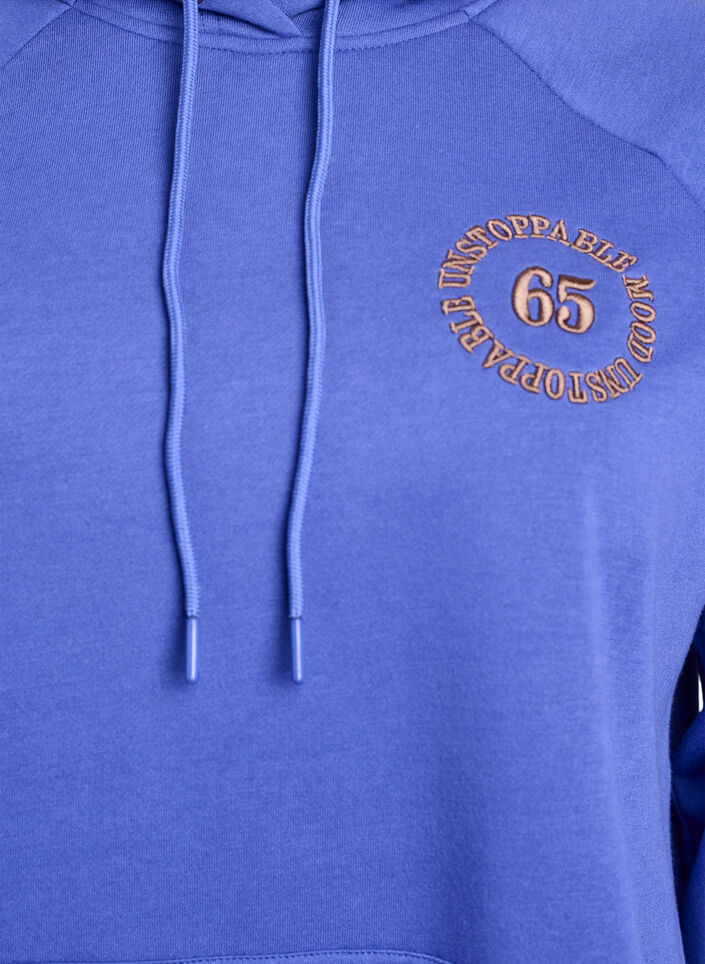 Hoodie met geborduurd frontmotief, Blauw, Packshot image number 2