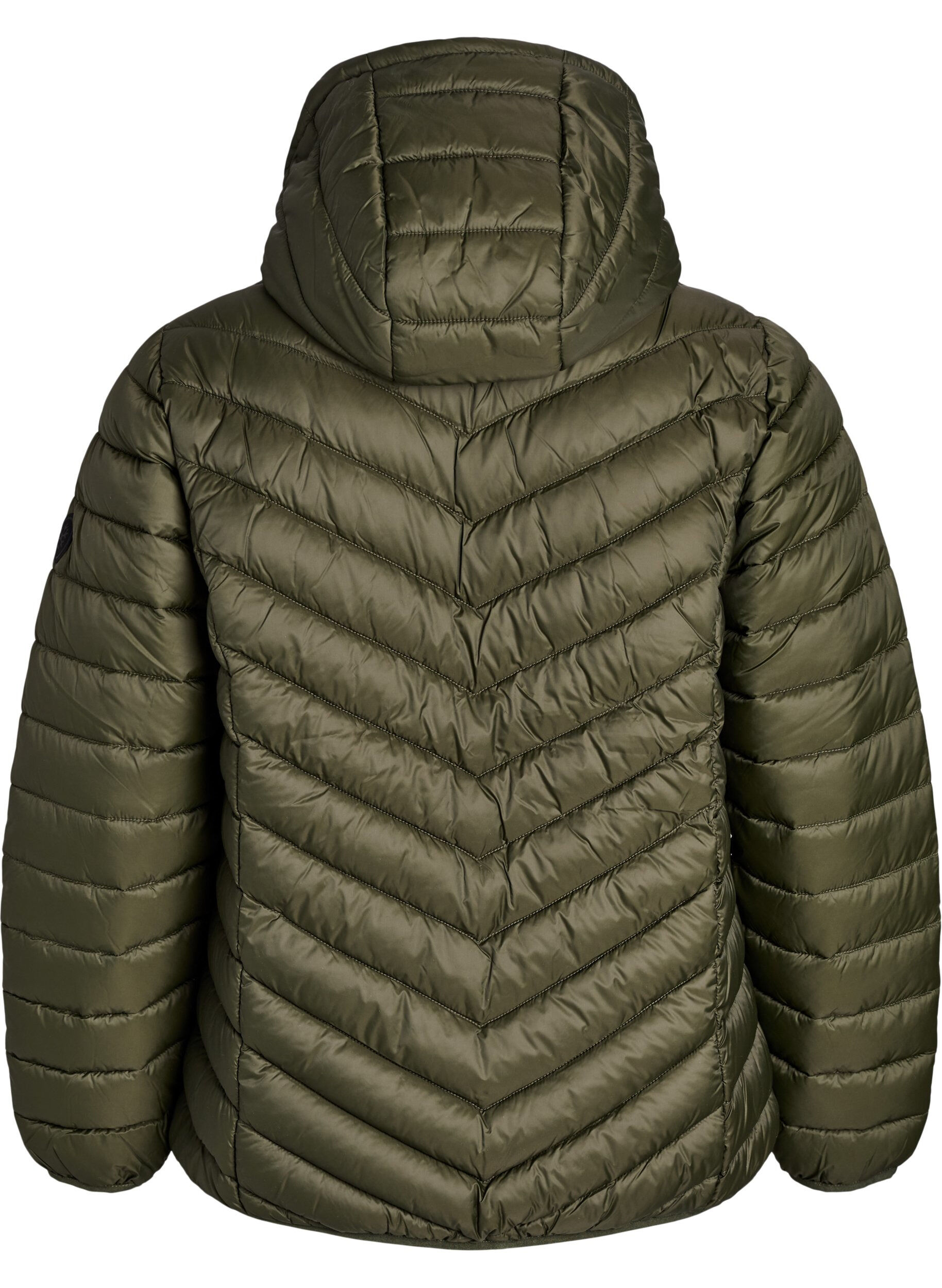 ZizziLichtgewicht jas met capuchon, Groen, Packshot image number 1