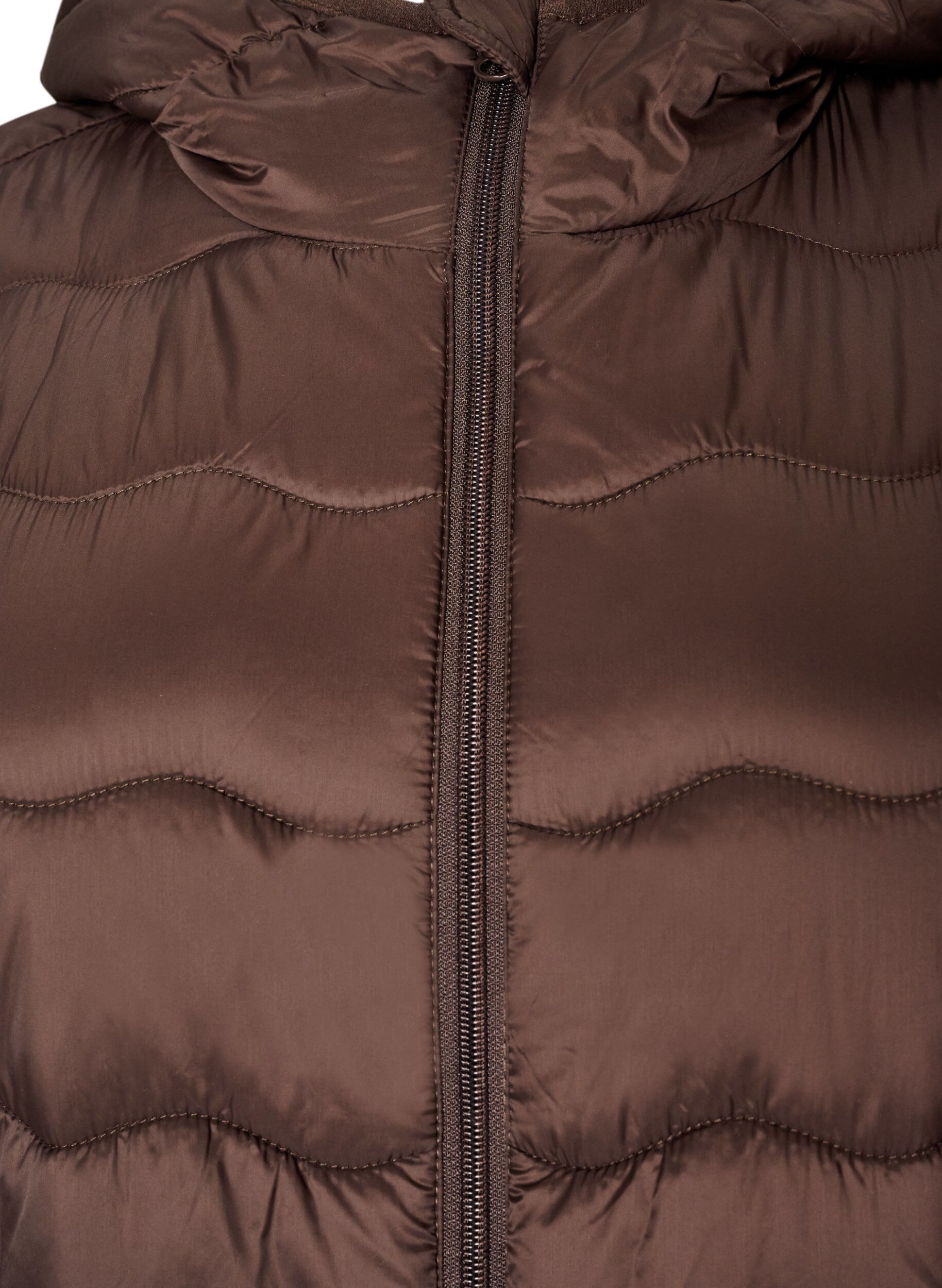 ZizziGewatteerde jas, Bruin, Packshot image number 2