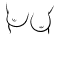 Asymmetrische borsten